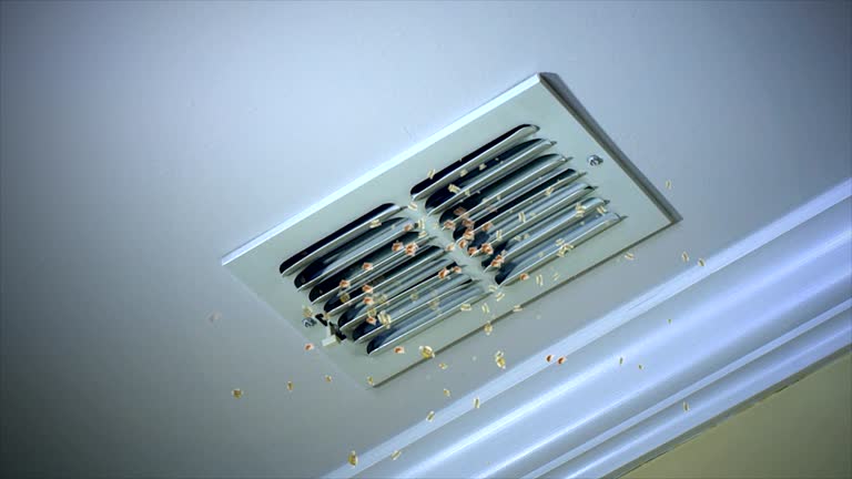 Best Ventilation Cleaning Services  in Calhoun City, MS